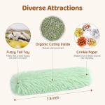 Soft Cat Toys with Catnip - Pack of 3