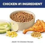 Hill's Science Diet Adult Cat Food, Chicken 4lb
