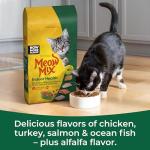 Meow Mix Indoor Cat Food, 6.3 lb