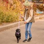 36PCS Quick Release Buckle Adjustable Puppy Paw Print Collar and Leash Set, Dog Collar and Leash Set, Soft Nylon Material, Suitable for Small Dogs, Cars and Pets