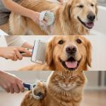 BPG Pet Grooming Tools for Dogs & Cats- 3 Piece Dog Grooming Kit, Slicker Brush, Bath Brush And Undercoat Rake- Non-Slip Easy To Use Deshedding Tools For All Coat Types- Brooklyn Pet Gear