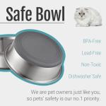 PEGYY11 Nonslip Stainless Steel Dog Cat Bowls, 2 US Cup, 2 Count
