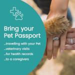 United Pet Club Color Premium PU Leather stitch-sewn US Pet Passport Medical Record for Pet Health and Vaccination English + Spanish for Cat, Dog, Puppy and Kitten (Lime, Single)