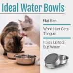 PEGYY11 Nonslip Stainless Steel Dog Cat Bowls, 2 US Cup, 2 Count
