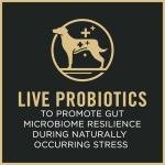 Purina Pro Plan Small Breed Dog Food, Chicken