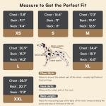 Cozy Turtleneck Sweater for Small Dogs - Green