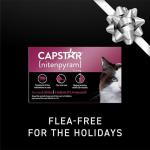 Fast-Acting Flea Treatment Tablets for Cats