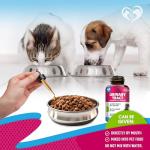 Natural UTI Support for Cats and Dogs