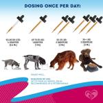 Natural UTI Support for Cats and Dogs