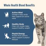 Rachael Ray Nutrish Natural Dry Cat Food, Salmon