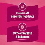 Friskies Dry Cat Food with Chicken & Salmon