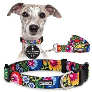 Vivid Floral Dog Collar and Leash Set