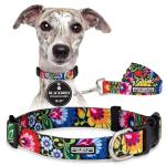 Vivid Floral Dog Collar and Leash Set