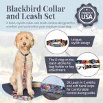 Vivid Floral Dog Collar and Leash Set