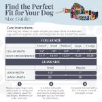 Vivid Floral Dog Collar and Leash Set