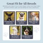 Vivid Floral Dog Collar and Leash Set