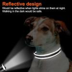 Joytale Reflective Adjustable Soft Dog Collar