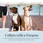 Vivid Floral Dog Collar and Leash Set