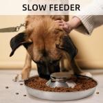 Stainless Steel Puppy Bowls Set of 2