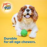 Bacon Scented Small Dog Toy - Hartz Dura Play