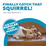 Outward Hound Hide A Squirrel Puzzle Toy - Small