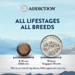 Addiction Wild Kangaroo Feast Dry Cat Food – Limited Ingredients, Novel Protein for Cats with Sensitive Skin & Stomach – Chicken Free & Grain-Free - Made in New Zealand 4lb