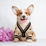 XGDMEIL Small Dog Sweaters Cute Bear Knitted Dog Cardigans Clothes for Small Medium Dogs Soft Pet Puppy Cat Knitting Outfits Fall Winter Warm Boy Girl Dogs Knitwear Coat Apparel(Beige, X-Small)