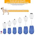 Colorful Summer Dog T-Shirts - Set of 4