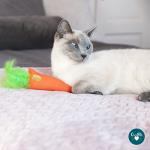 Plush Cat Toys Filled with Cosmic Catnip