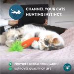 Plush Cat Toys Filled with Cosmic Catnip