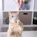 SmartyKat Skitter Critters Cat Toys with Catnip