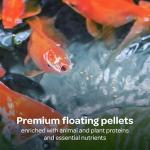 Kaytee Koi's Choice Premium Fish Food