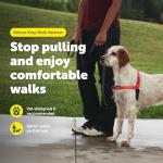 PetSafe Deluxe No Pull Dog Harness, Medium Rose