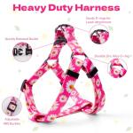 Adjustable No-Pull Dog Harness and Leash Set