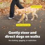 PetSafe Deluxe No Pull Dog Harness, Medium Rose