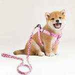 Adjustable No-Pull Dog Harness and Leash Set