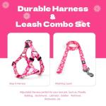 Adjustable No-Pull Dog Harness and Leash Set