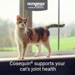 Cosequin Joint Health Chews for Cats - 60 Count