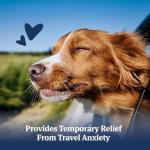 PetArmor Allergy Relief Tablets for Dogs, 100 Ct