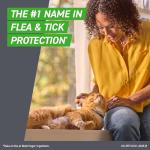 Frontline Plus Flea & Tick Treatment for Cats