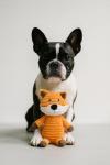 5 Pack Plush Squeak Toys for Medium Dogs
