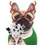 SHARLOVY 5-Pack Squeaky Plush Dog Toys