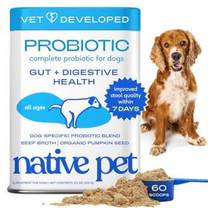 Vet-Approved Probiotic Powder for Dogs' Gut Health