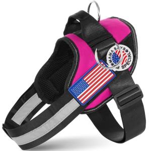 Justyezi No-Pull Adjustable Dog Harness with Leash Clips