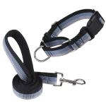 Reflective Martingale Dog Collar and Leash Set