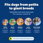 PetSafe Gentle Leader Collar with Training DVD