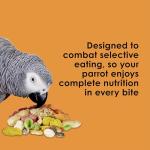 Kaytee Fiesta Parrot Food, Nutritious and Fun Blend, Supports Skin, Feather, Digestion, Brain and Heart Health, 2.5 pounds