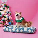 LE SURE Cute Large Dog Bed for Crate-Thick Shredded Chopped Foam Pet Bed Indoor with Removable Washable Cover, Modern Fuzzy Plush & Anti Slip Bottom, Blue