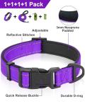 Reflective Dog Collar and Leash Set for Large Dogs