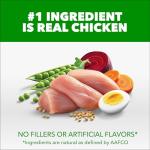 IAMS Proactive Health Adult Dry Dog Food, 15 lb